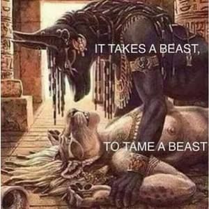 Meet your Posher, Bobbie